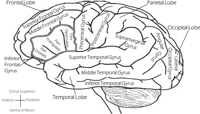 bipolar stigma